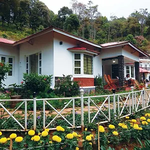 Resort Olive Brook